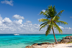 La Romana (Casa de Campo) Saona Island